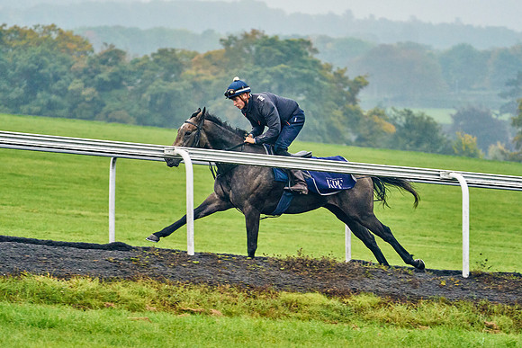 2022-10-13-Dominic-James-1963