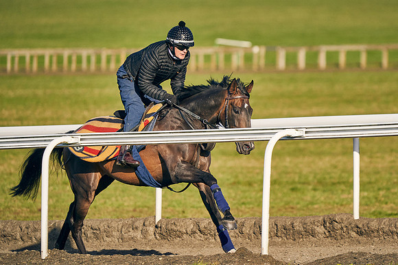 2021-03-27-Dominic-James-3053