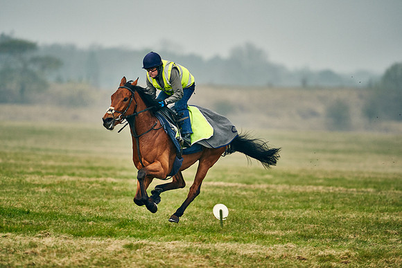 2021-03-24-Dominic-James-1364