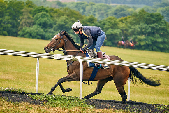 2022-07-01-Dominic-James-2523