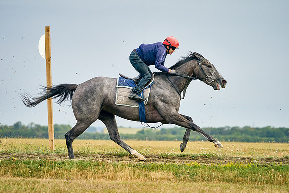 2022-07-23-DominicJames-2002