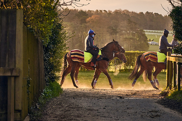 2021-04-06-Dominic-James-5245