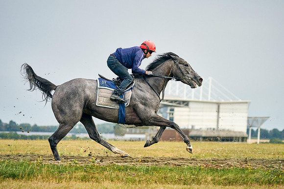 2022-07-23-DominicJames-2010