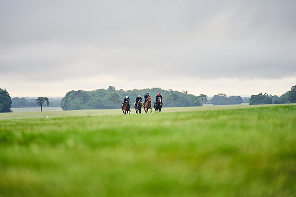 10TH-JULY-Dominic-James-3021