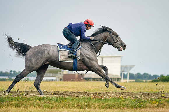 2022-07-23-DominicJames-2011
