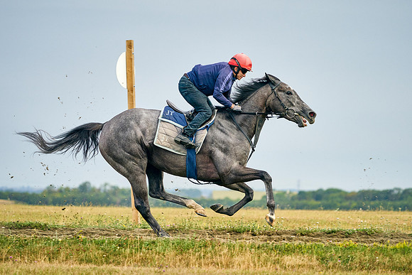 2022-07-23-DominicJames-2001