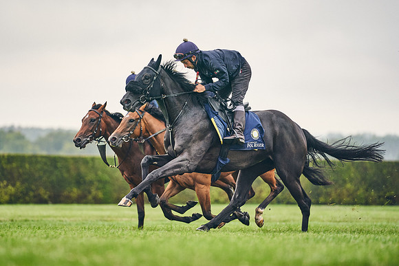 10TH-JULY-Dominic-James-3142