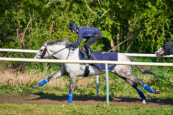 2021-05-05-Dominic-James-6053