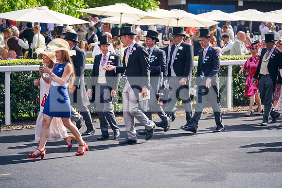 2022-06-17-Dominic-James-3533