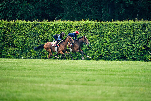 2021-06-05-Dominic-James-4829