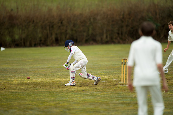 20130411-cricket-AG3A6714