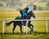 022A Karl Burke