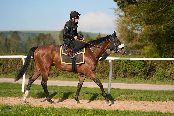 2022-04-26-Dominic-James-0329