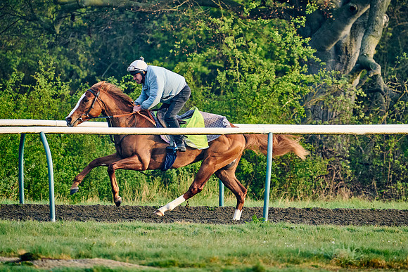 2022-04-20-Dominic-James-0686