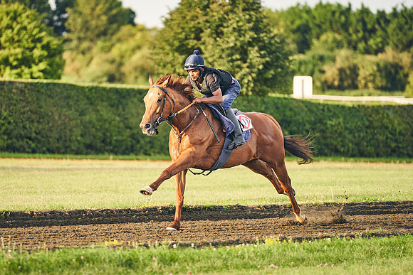 22nd-JULY-Dominic-James-0227