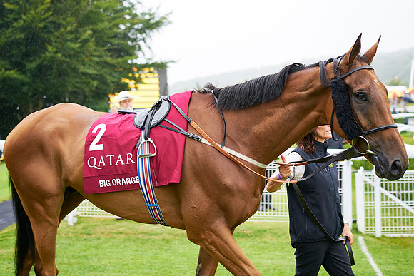 Qatar Goodwood Festival