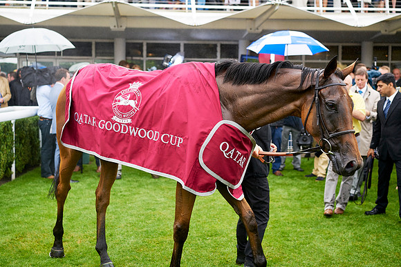 Qatar Goodwood Festival
