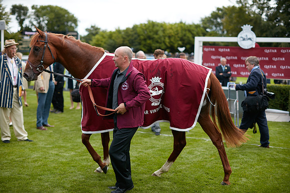 _OM_8869.CR2