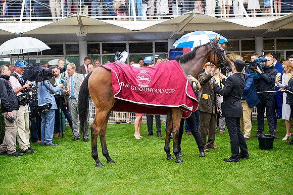 Qatar Goodwood Festival