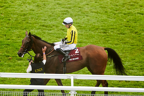 Day one of the Qatar Goodwood Festival