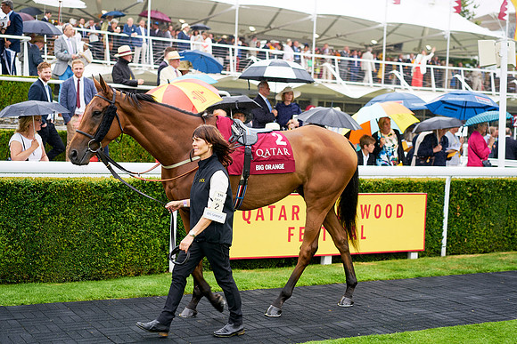Qatar Goodwood Festival