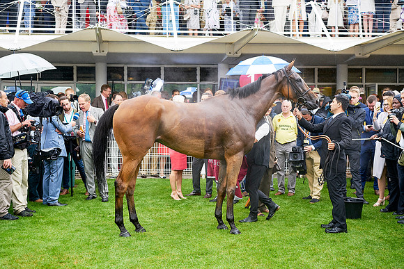 Qatar Goodwood Festival