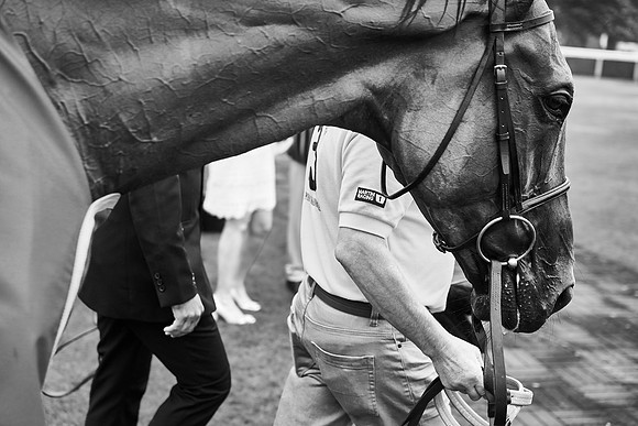 Qatar Goodwood Festival