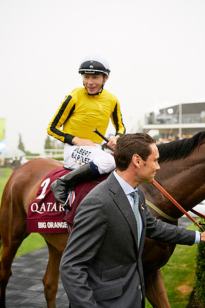 Qatar Goodwood Festival