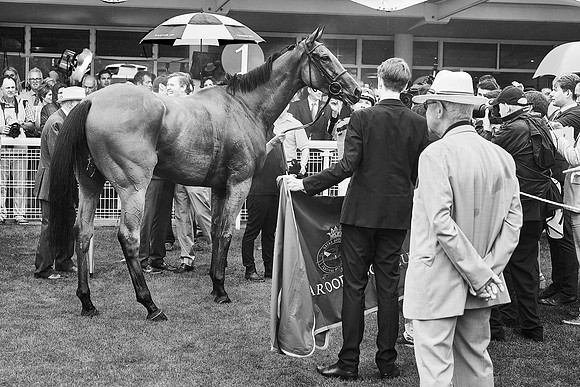 Qatar Goodwood Festival