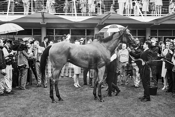 Qatar Goodwood Festival