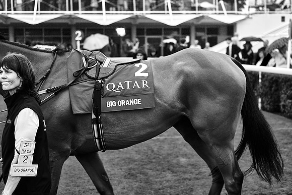 Qatar Goodwood Festival