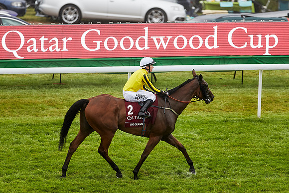 Day one of the Qatar Goodwood Festival