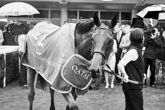Qatar Goodwood Festival