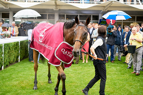 Qatar Goodwood Festival