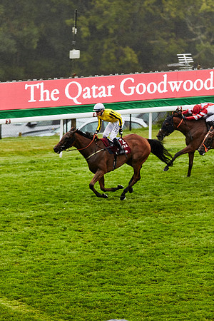 Day one of the Qatar Goodwood Festival