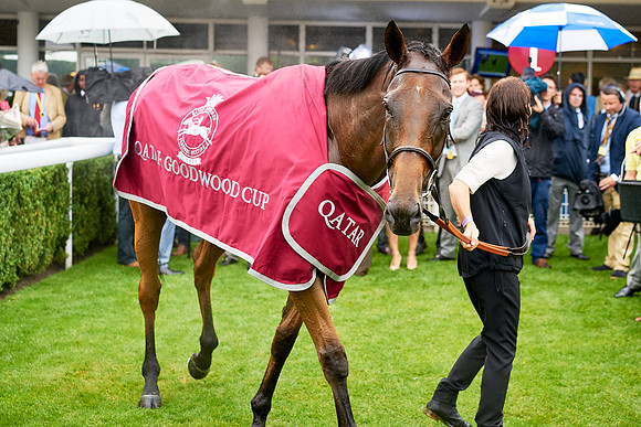 Qatar Goodwood Festival