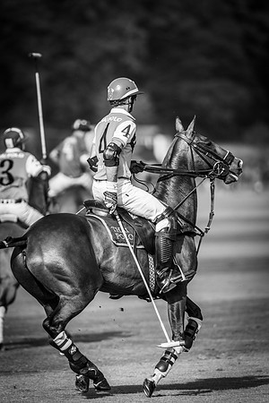 Veuve Clicquot Gold Cup 2013