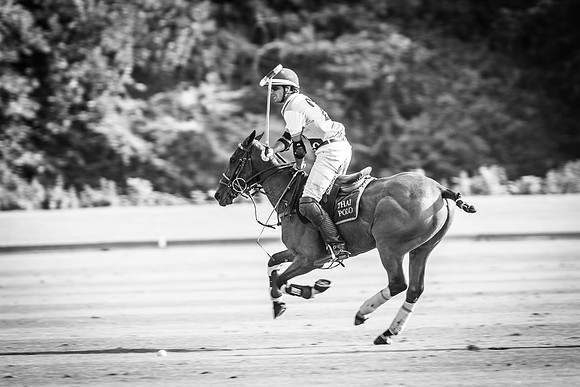 Veuve Clicquot Gold Cup 2013