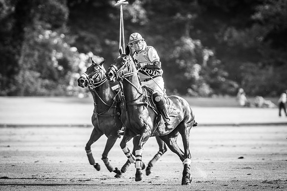 Veuve Clicquot Gold Cup 2013