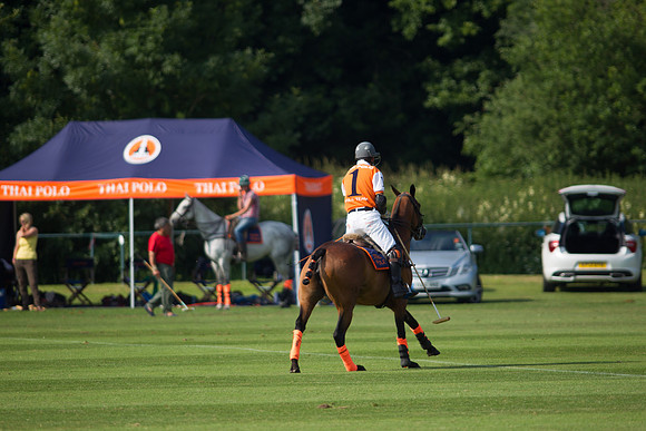 Veuve Clicquot Gold Cup 2013
