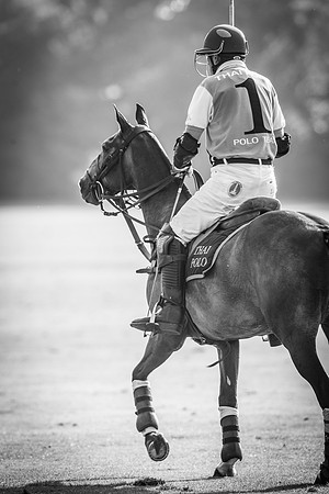 Veuve Clicquot Gold Cup 2013
