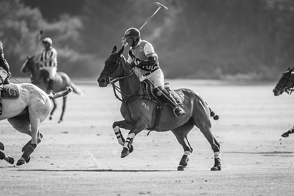 Veuve Clicquot Gold Cup 2013