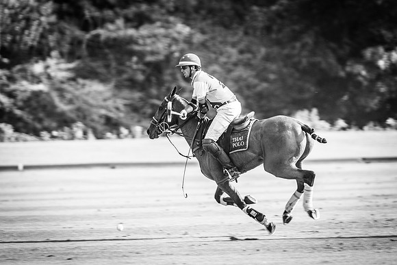 Veuve Clicquot Gold Cup 2013