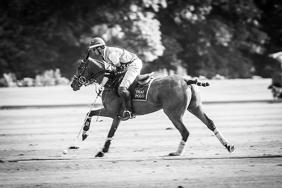 Veuve Clicquot Gold Cup 2013