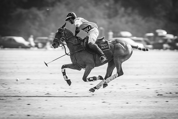 Veuve Clicquot Gold Cup 2013