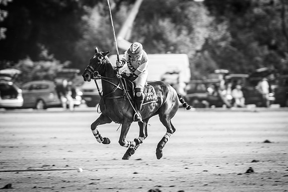 Veuve Clicquot Gold Cup 2013