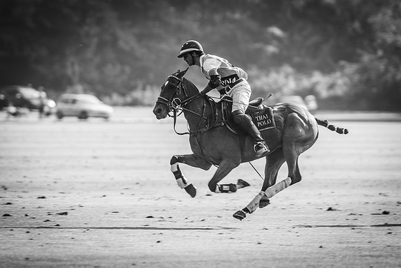 Veuve Clicquot Gold Cup 2013