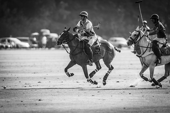Veuve Clicquot Gold Cup 2013