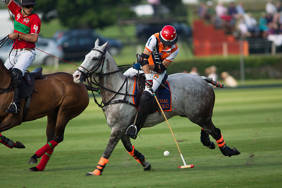 Veuve Clicquot Gold Cup 2013