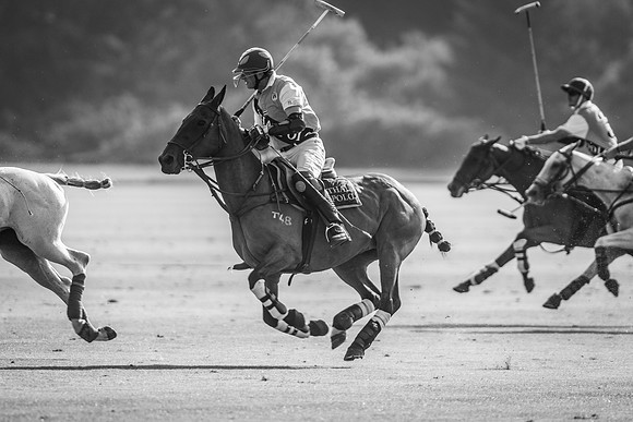 Veuve Clicquot Gold Cup 2013